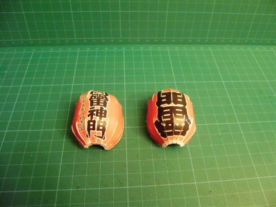 P8040018 (Moyen).JPG