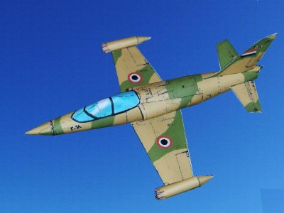 Letov L39 Syria 001 (3).jpg