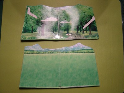 Carte Canon 2 - 12.jpg