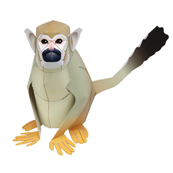 squirrel-monkey_thm.jpg