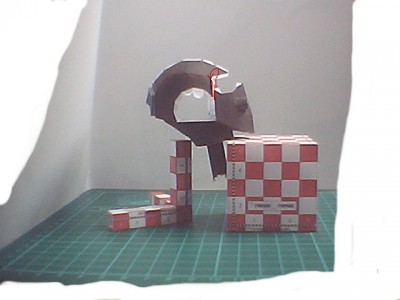 Nov06035.JPG