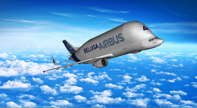 Beluga_4_AB_Nouv.png