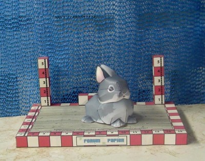 Lapin1.JPG