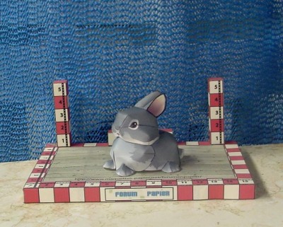 Lapin2.JPG