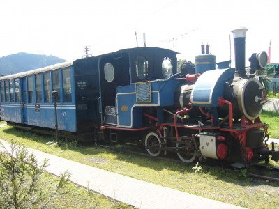 Toy_Train_Darjeeling_West_Bengal_India_(3).jpg