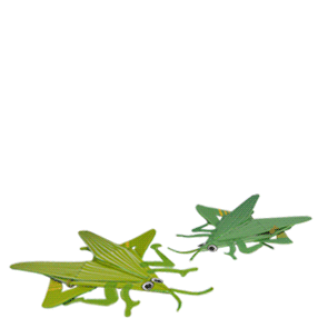 snapups-grasshopper_thl.gif