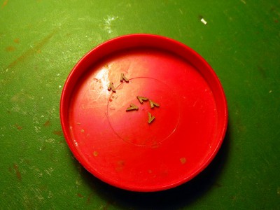 TYROV=056.JPG (150.96 Kio) Vu 2811 fois préparation des consoles supportant le plancher de la galerie