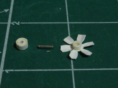 P1250080.JPG