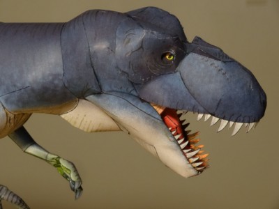 DSC00314 (FILEminimizer).JPG