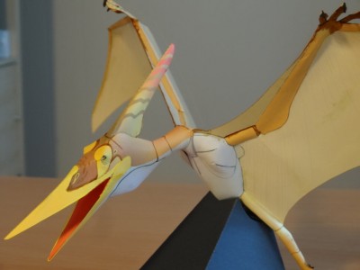 DSC00378 (FILEminimizer).JPG