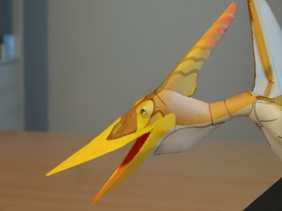 DSC00379 (FILEminimizer).JPG