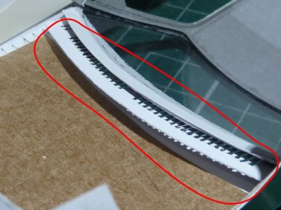 P1310800b.jpg