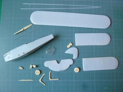 oiseau blanc 02 p1040622.jpg