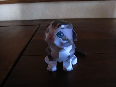 Une belle collection de chat du site Canon...