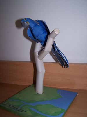 perroquet
Pas si simple, 
le site je crois que c'est canon mais pas sur !!
