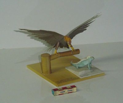 13.JPG