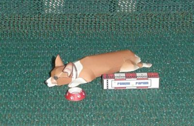 Chien_parresseu.jpg