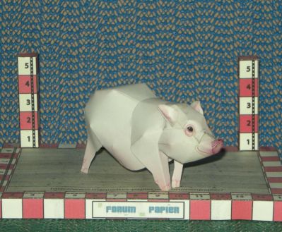Porc
