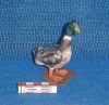 Canard-2.JPG