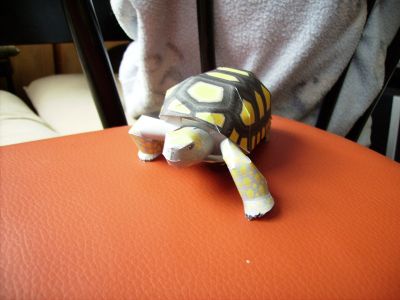IMGP2848.JPG
