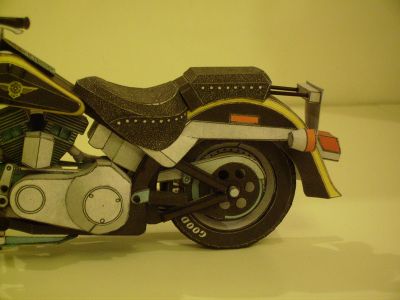 IMGP5540.JPG