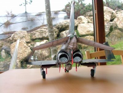 F4 phantom
Je n'oserais pas dire qu'il Ã  un beau derriÃ¨re, mais c'est plutÃ´t agrÃ©able Ã  regarder :)

