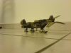 DSC00177.JPG