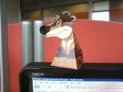 coati illusion
