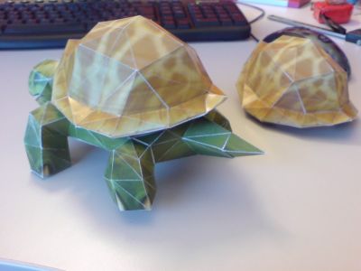 tortue vu de derriÃ¨re
