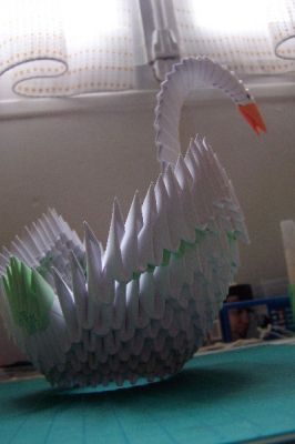 cygne
voici une vue de derriere

