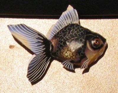 Poisson
Keywords: poisson