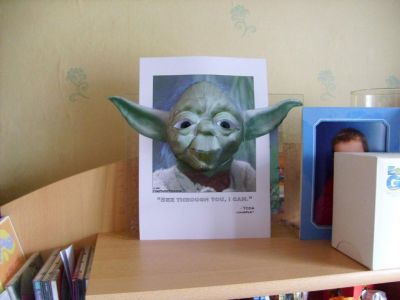 maitre yoda
