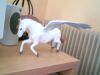 Filename=pegase2_3.jpg
Filesize=125KiB
Dimensions=640x480
Date added=Feb 03, 2008 pegase2_3.jpg