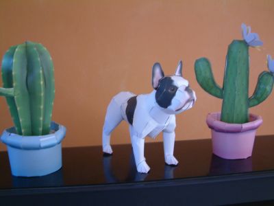 cactus et bouledogue francais
rÃ©aliser par une demoiselle de 10 ans

