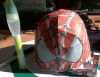 Filename=27052009397.jpg
Filesize=134KiB
Dimensions=600x465
Date added=May 29, 2009 27052009397.jpg