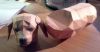 Filename=3.jpg
Filesize=61KiB
Dimensions=600x316
Date added=Oct 28, 2008 3.jpg