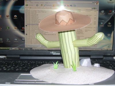 Cactus.jpg
