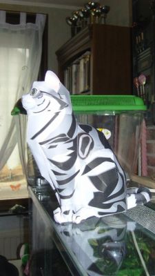 Un autre Chat
