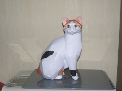Un Chat (de Canon)
Pour attraper la souris Ã  Garcimore lol ;-)
