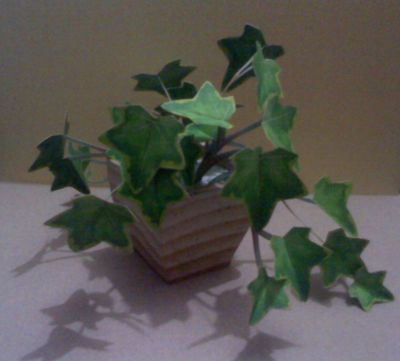 Plante02.jpg