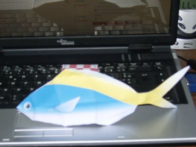 Un poisscaille
