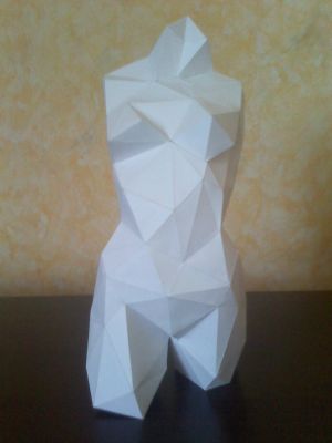 Une Venus
(vue de face)
