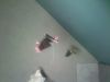 Filename=040512-1819.jpg
Filesize=306KiB
Dimensions=1600x1200
Date added=May 04, 2012 040512-1819.jpg