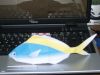 Filename=Poisson.jpg
Filesize=53KiB
Dimensions=800x600
Date added=Dec 14, 2008 Poisson.jpg