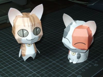 Petits chats
