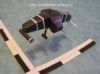 Filename=1123149828.jpeg
Filesize=6KiB
Dimensions=150x112
Date added=Aug 18, 2011 1123149828.jpeg
