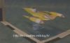 Filename=340026356.jpeg
Filesize=4KiB
Dimensions=150x94
Date added=Aug 18, 2011 340026356.jpeg