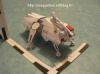 Filename=43771537.jpeg
Filesize=6KiB
Dimensions=150x112
Date added=Aug 18, 2011 43771537.jpeg
