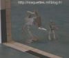 Filename=948150819.jpeg
Filesize=4KiB
Dimensions=150x127
Date added=Aug 18, 2011 948150819.jpeg