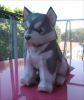 Alaskan_Malamute.png